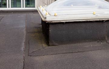 disadvantages of Pennar Park flat roofs